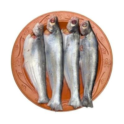 বাছা মাছ